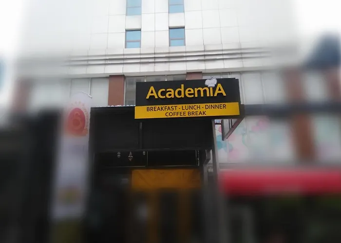 Academia Istanboel